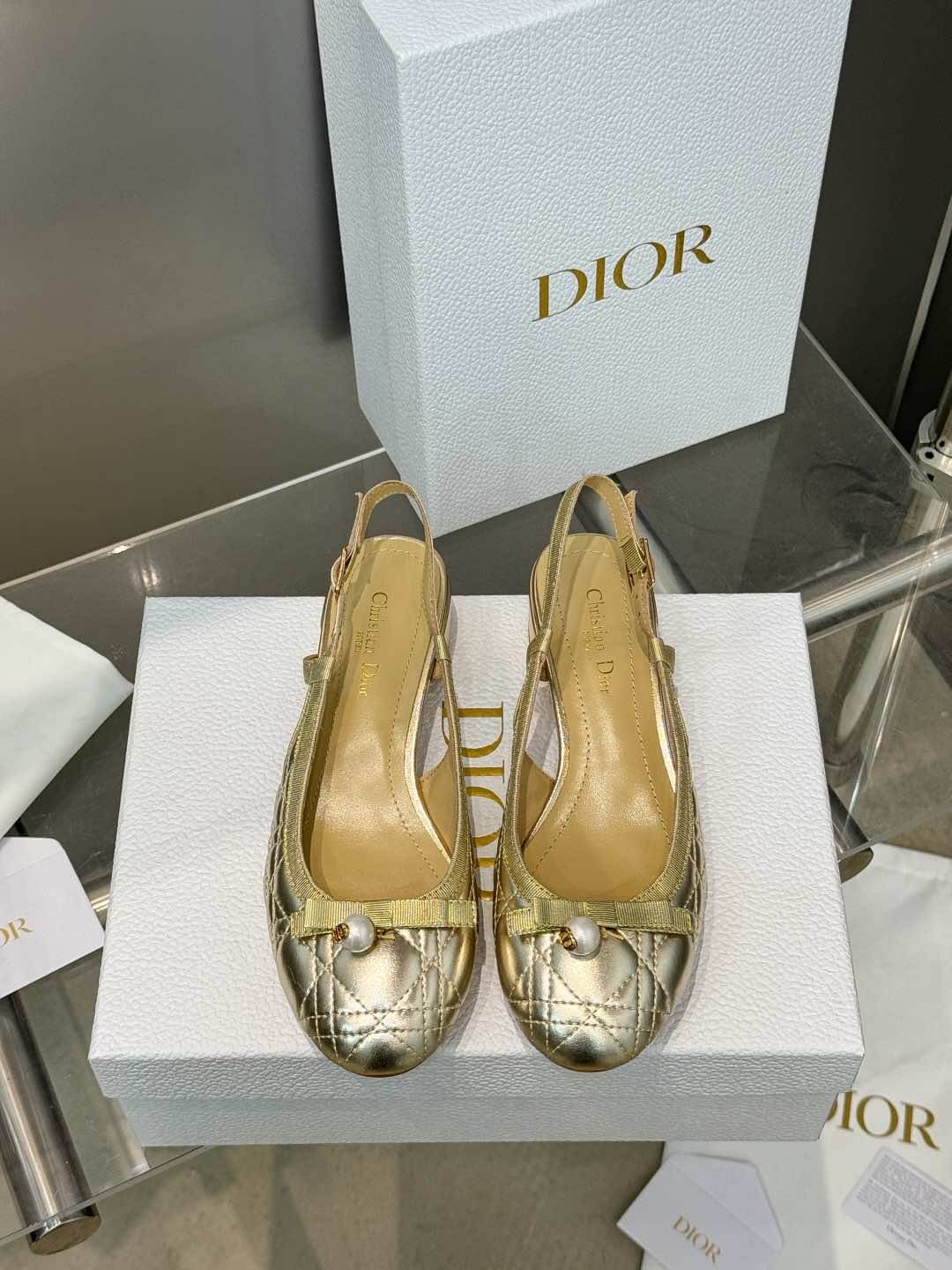 Dior Ballet Slingback Pump